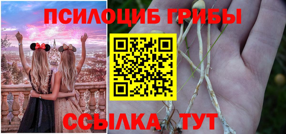 Одинцово  Псилоцибиновые грибы ЛСД  Галлюциногенные грибы Magic Shrooms  Вход с VPN 